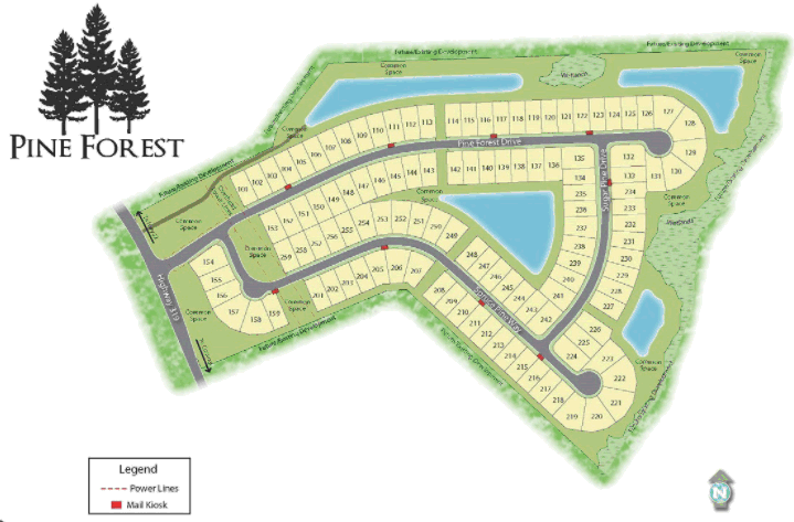 New construction in Pine Forest in Conway