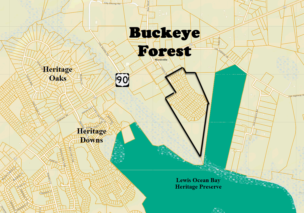 Buckeye Forest new home community in Conway