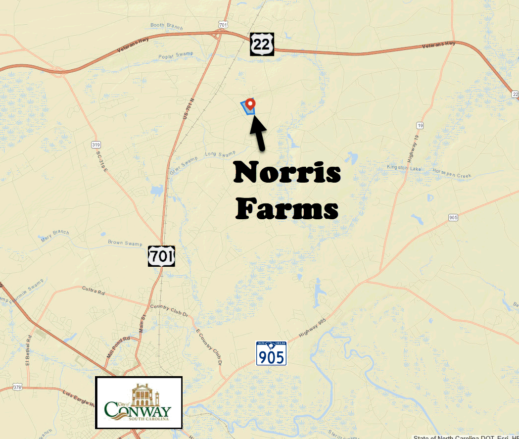 New home community of Norris Farms in Conway, SC